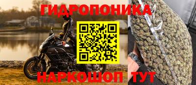 стафф Ирбит